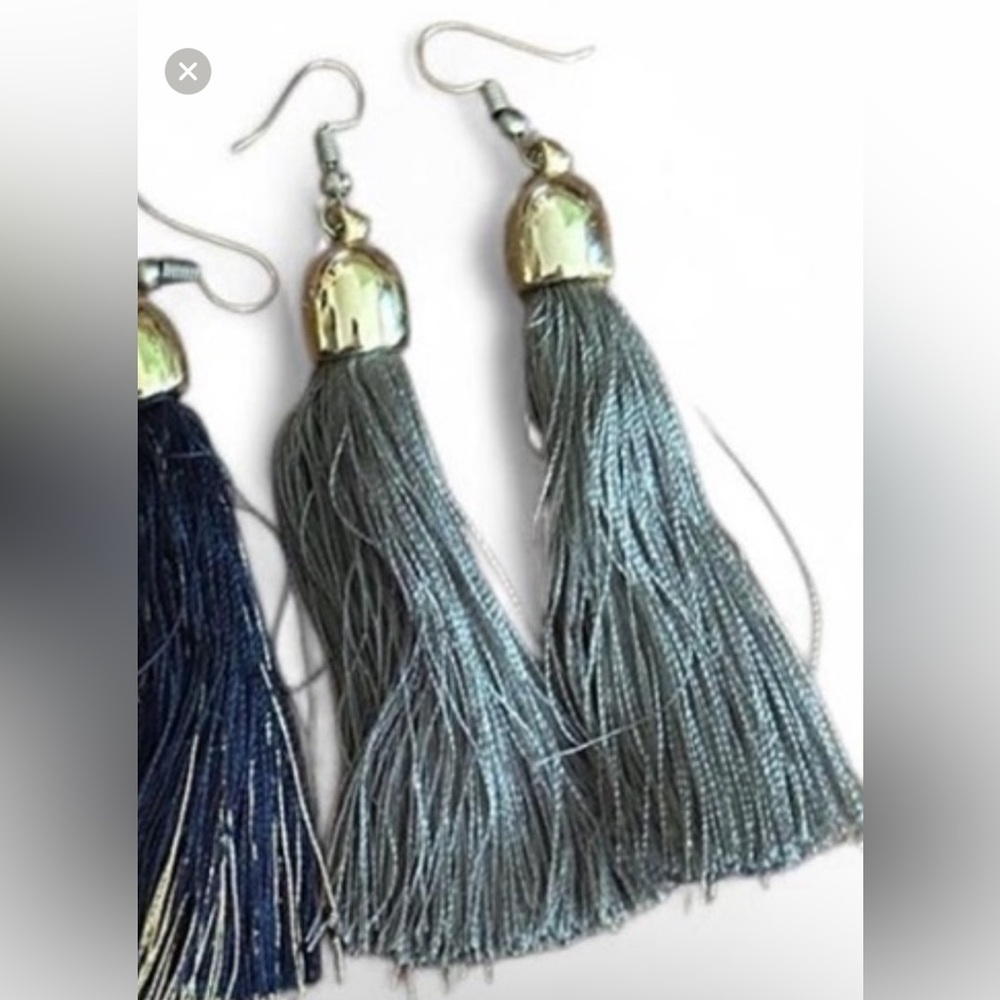 Chic Tassel Earrings in Silver